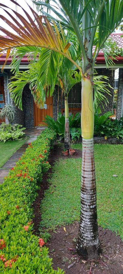 Mountain View Cottages Mambajao Exteriör bild